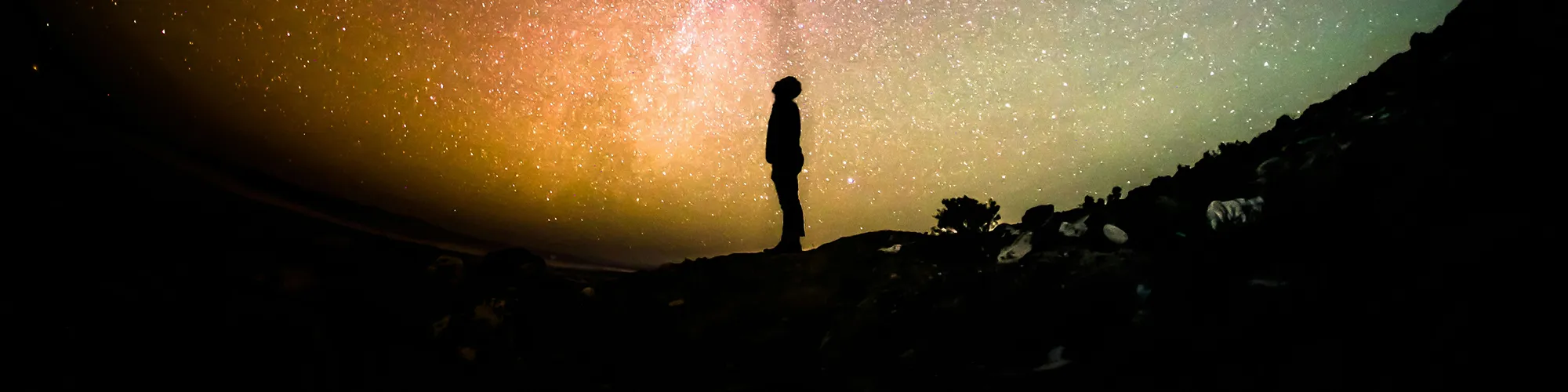 Human looking at the stars